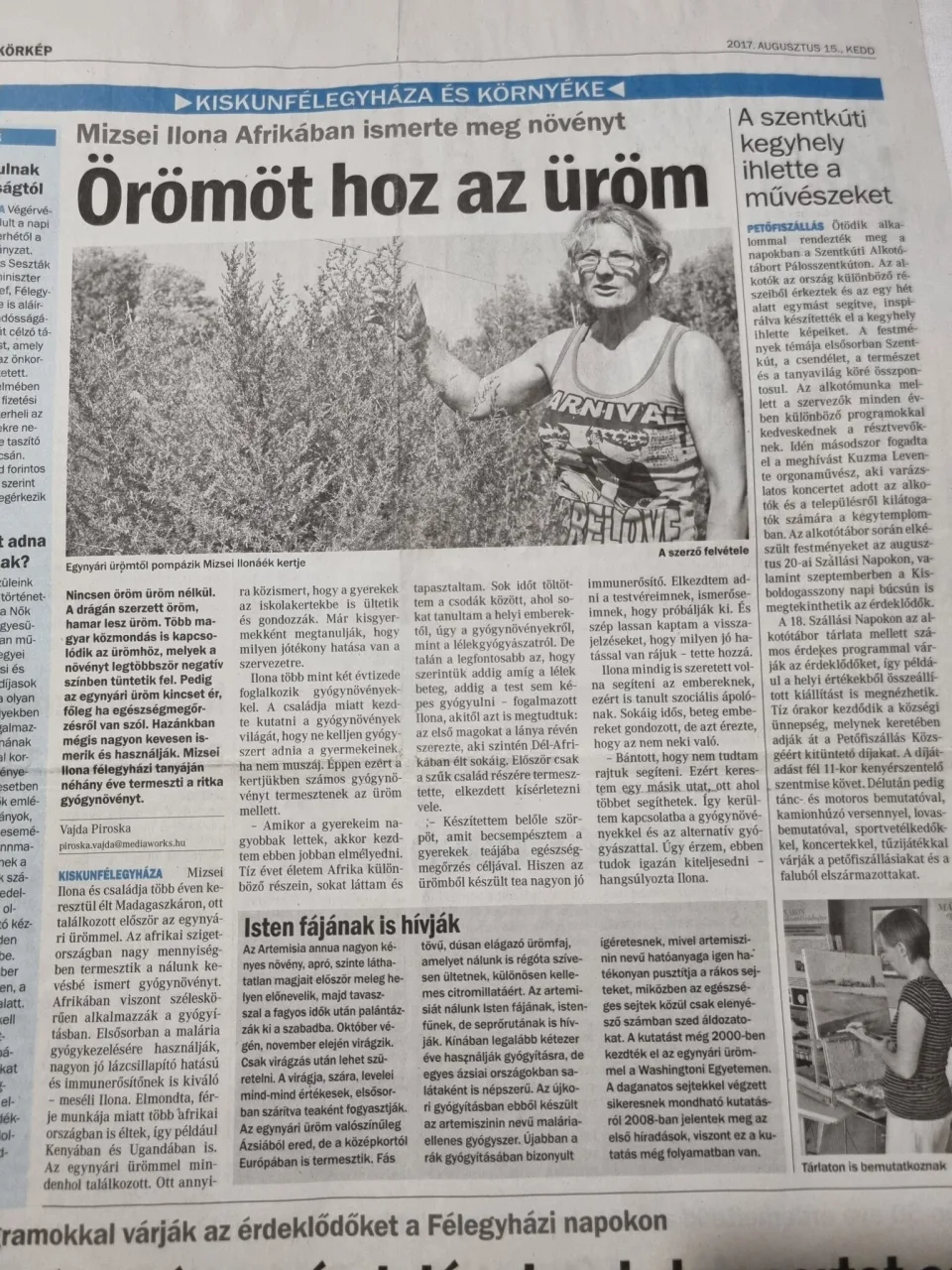 Örömöt hoz az üröm. Egynyári üröm újságcikk
